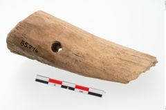 Foto von Knochengerät (NHMW-PRAE-085714)
